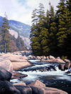 Cogan's Merced River