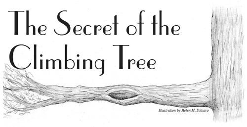 The Secret of the Climbing Tree